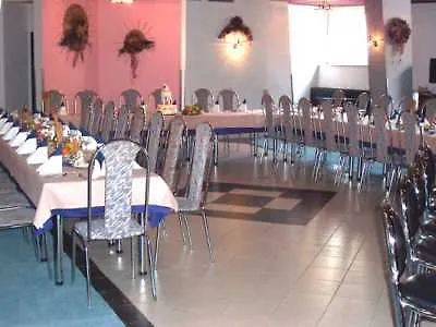 Hotel U Tri Lvu 3*